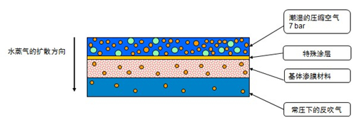 滲膜式干燥器水分子擴散 滲膜式干燥器水分子擴散