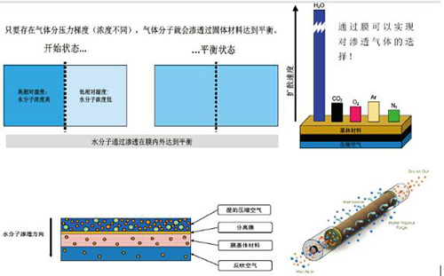 內(nèi)含中空纖維的高分子膜的SR CMD滲膜式干燥管原理