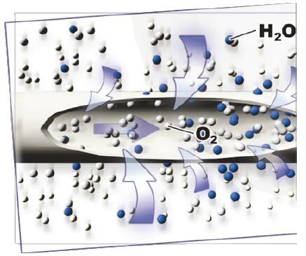 水分子和氧分子在SR醫(yī)療制氧機(jī)用氧氣加濕器的中空纖維膜絲流向 水分子和氧分子在SR醫(yī)療制氧機(jī)用氧氣加濕器的中空纖維膜絲流向